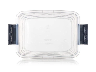 BRILANZ Box úložný VILARD 8,5l,31x24x21cm,vieko,klip,úchyt,PH DYM/TRA