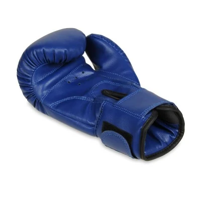 BUSHIDO Boxerské rukavice DBX ARB-407v4 6 oz.