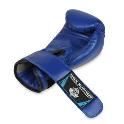 BUSHIDO Boxerské rukavice DBX ARB-407v4 6 oz.