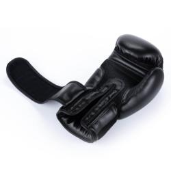 BUSHIDO Boxerské rukavice DBX ARB-Black