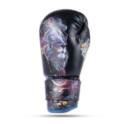 BUSHIDO Boxerské rukavice DBX ARB-Kids-v3 6 oz.