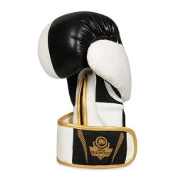 BUSHIDO Boxerské rukavice DBX B-2v16