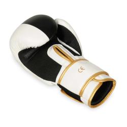 BUSHIDO Boxerské rukavice DBX B-2v16