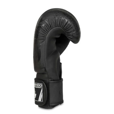 BUSHIDO Boxerské rukavice DBX B-2v18