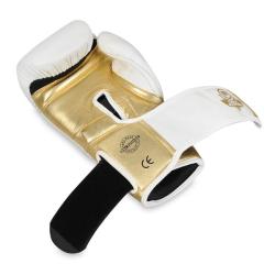 BUSHIDO Boxerské rukavice DBX B-2v19