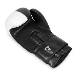 BUSHIDO Boxerské rukavice DBX B-2v20