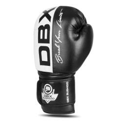BUSHIDO Boxerské rukavice DBX B-2v20