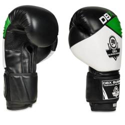 BUSHIDO DBX B-2v6 Boxerské rukavice