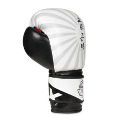 BUSHIDO Boxerské rukavice DBX B-2v8