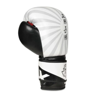 BUSHIDO Boxerské rukavice DBX B-2v8