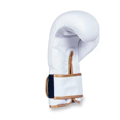 BUSHIDO Boxerské rukavice DBX DBD-B-2