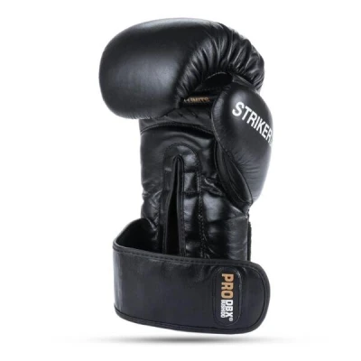 BUSHIDO Boxerské rukavice DBX Striker