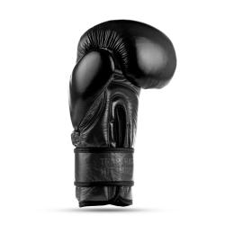 BUSHIDO Boxerské rukavice DBX Warrior BLACK