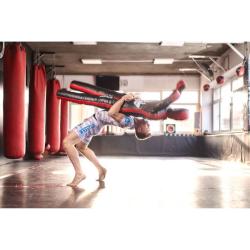 BUSHIDO Figurína DBX DBX-D-1