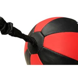 BUSHIDO Horizontální reflexní míč DBX DBX-SB-2