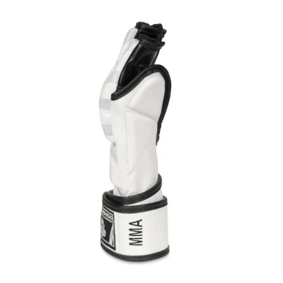 BUSHIDO MMA rukavice DBX E1v7