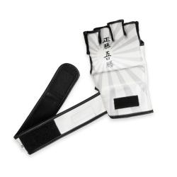 BUSHIDO MMA rukavice DBX E1v7