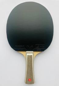 BUTTERFLY - Korbel (Japan) + Rozena pálka na stolní tenis