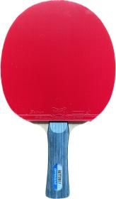 BUTTERFLY - Offensive New + Sriver L pálka