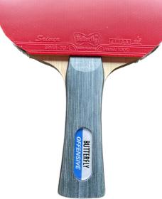 BUTTERFLY - Offensive New + Sriver L pálka