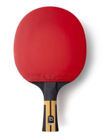 BUTTERFLY - Timo Boll Force palka na stolný tenis