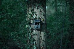 Camouflage Fotopast EZ-Solar Wifi/Bluetooth