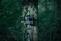 Camouflage Fotopast EZ-Solar Wifi/Bluetooth