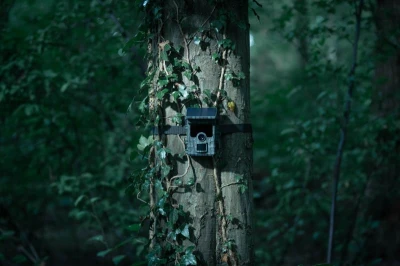 Camouflage Fotopast EZ-Solar Wifi/Bluetooth