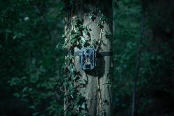 Camouflage Fotopast EZ2 Elite Dual Lens