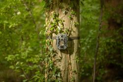 Camouflage Fotopast EZ2 Elite Dual Lens