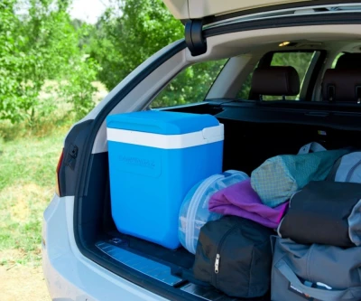 Campingaz Chladicí box Icetime Plus 26 l