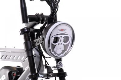 Capriolo APE RYDER MANDRILL ULTRA 2025 šedé elektrokolo