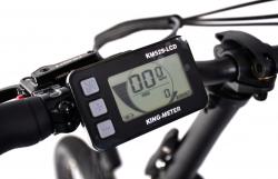 Capriolo Elektrokolo E-BIKE Folding 20 M:2025 black