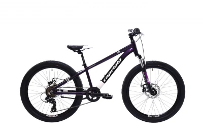 Capriolo Horské jízdní kolo MTB LC 24[34]/AL FIALOVO-MODRÝ