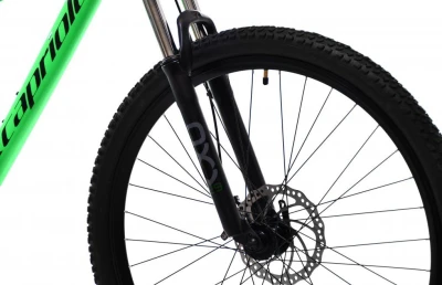 Capriolo OXYGEN 29"/16" zelené horské jízdní kolo