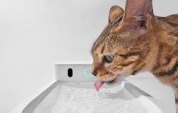 Catlink Chytrá fontána/pítko pro psy a kočky Pure 3 (bílá)