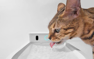 Catlink Chytrá fontána/pítko pro psy a kočky Pure 3 (bílá)
