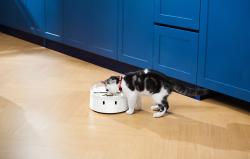 Catlink Chytrý dávkovač krmiva F03 Standard
