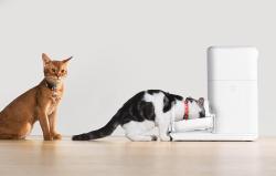 Catlink Chytrý dávkovač krmiva Fresh 2 F04 PRO