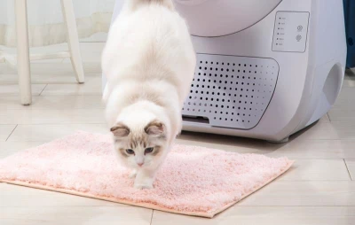 Catlink Inteligentní samočisticí kočičí toaleta Scooper Young Version