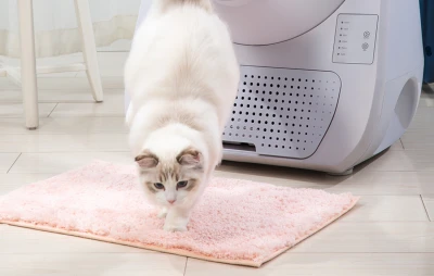 CatLink Scooper Young Version šedá inteligentní samočisticí kočičí toaleta