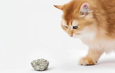 Catlink Mixed 3,5 kg hrudkující stelivo pro kočky