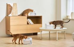 Catlink Vodní fontána pro domácí zvířata Pure 3