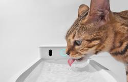Catlink Vodní fontána pro domácí zvířata Pure 3