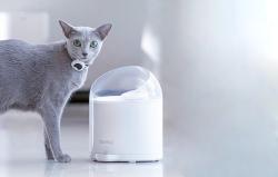 Catlink Water Fountain for pets Pure 2