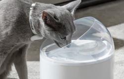 Catlink Water Fountain for pets Pure 2