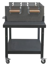 Cattara Gril na dřevěné uhlí FIESTA 95x60cm