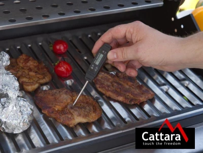 Cattara Grilovací teploměr 15cm