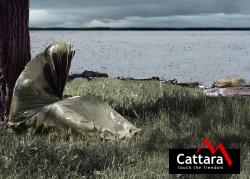 Cattara Izotermická fólie SOS zelená válec 200x92cm