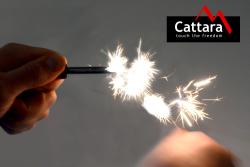 Cattara Křesadlo SPARK